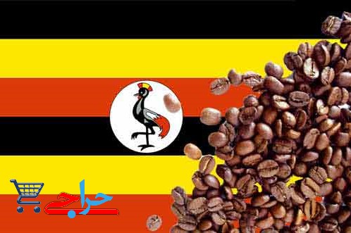 کشورهای برتر تولید کننده قهوه در دنیا - اوگاندا